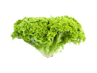 Lechuga Hidroponica Verde (c/u)