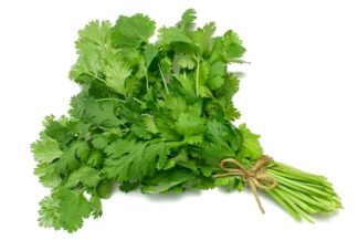 Cilantro (100 gr aprox)