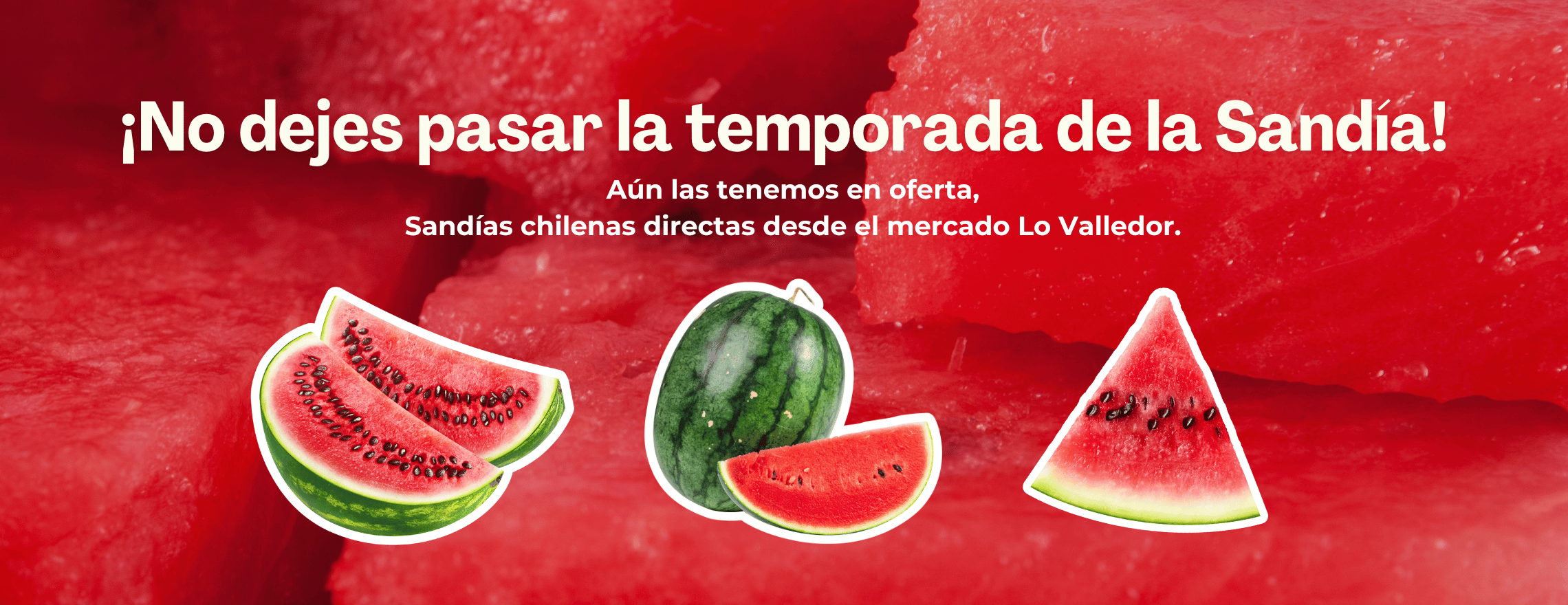 sandias chilenas frescas directas desde mercado lo valledor, temporada de sandias, Pehuén Alimentos