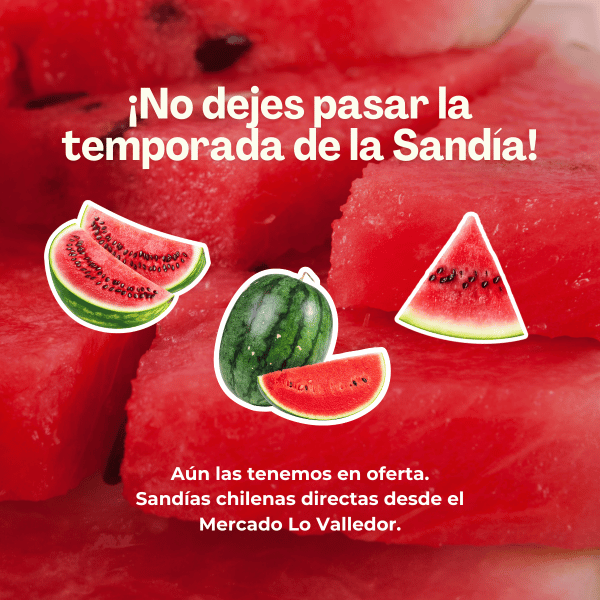 sandias chilenas frescas directas desde mercado lo valledor, temporada de sandias, Pehuén Alimentos