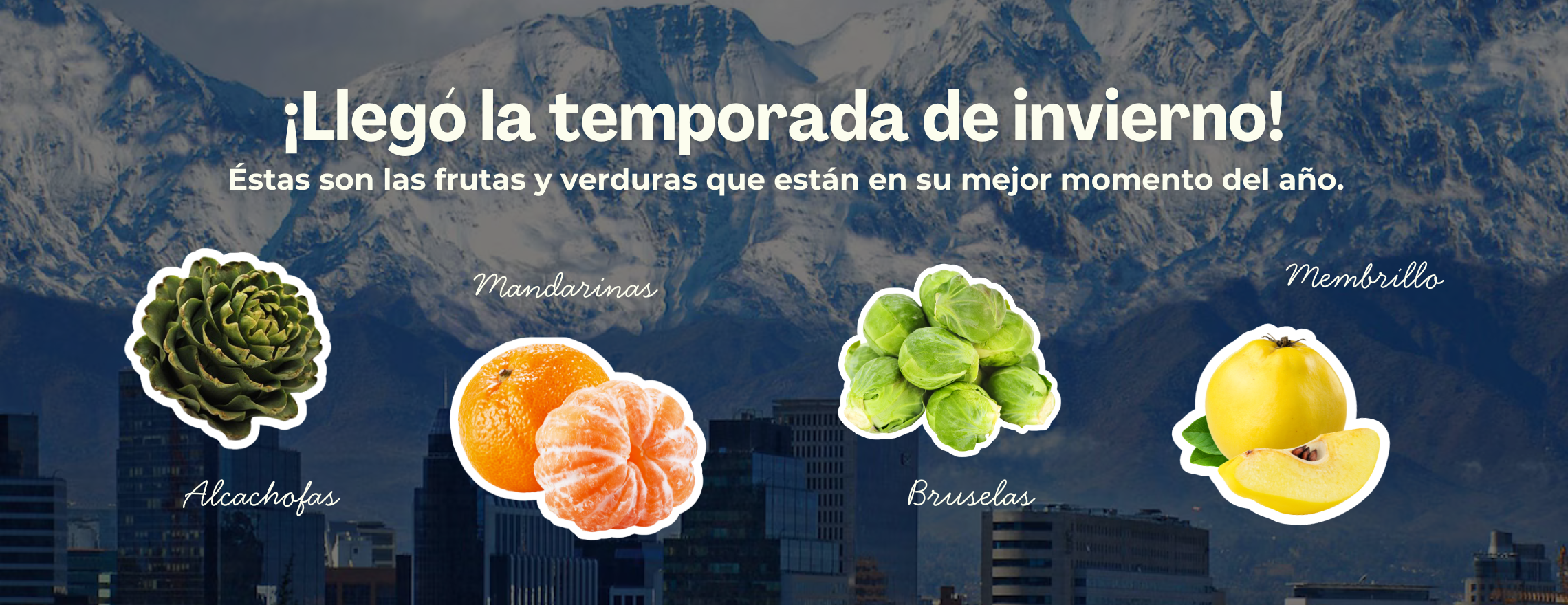 pehuen alimentos slider: llego el invierno: alcachofas, mandarinas, bruselas y membrillo