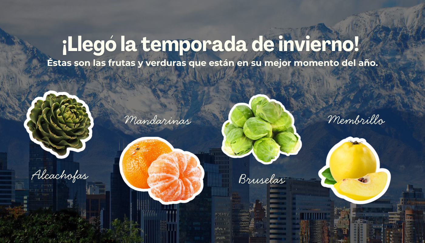 pehuen alimentos slider: llego el invierno: alcachofas, mandarinas, bruselas y membrillo