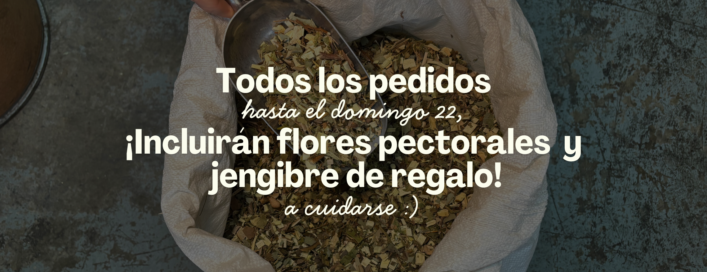 flores pectorales y jengibre a domicilio