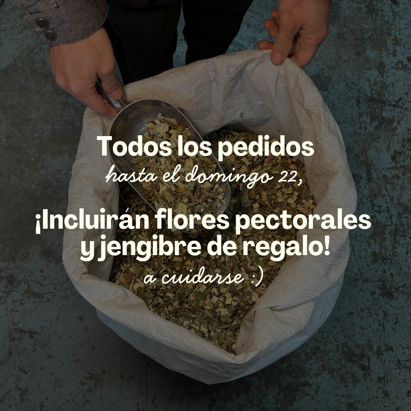 flores pectorales y jengibre a domicilio