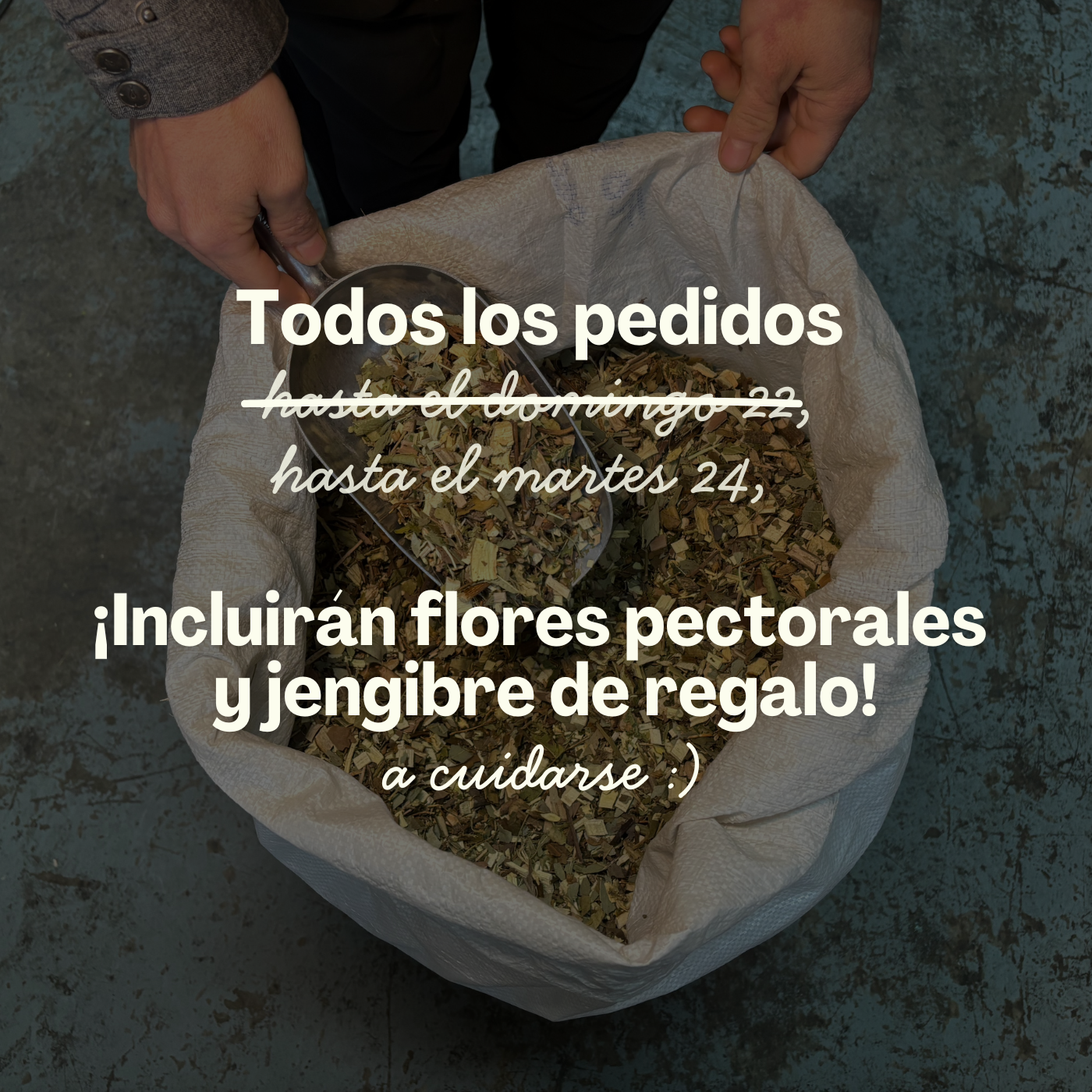 flores pectorales y jengibre a domicilio
