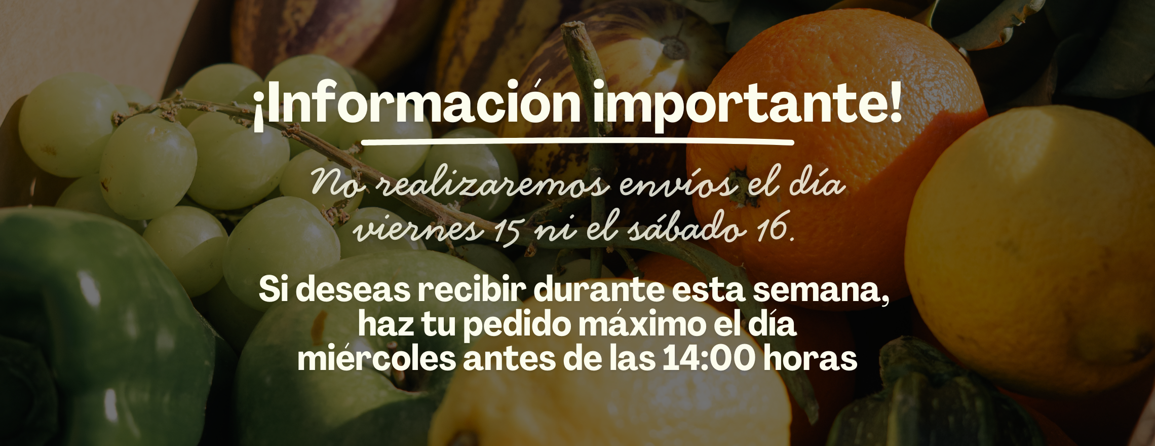 yerba mate, tempeh, tempeh de arvejas, not snack bars,  barritas proteicas not, hummus Buka, hummus de betarraga