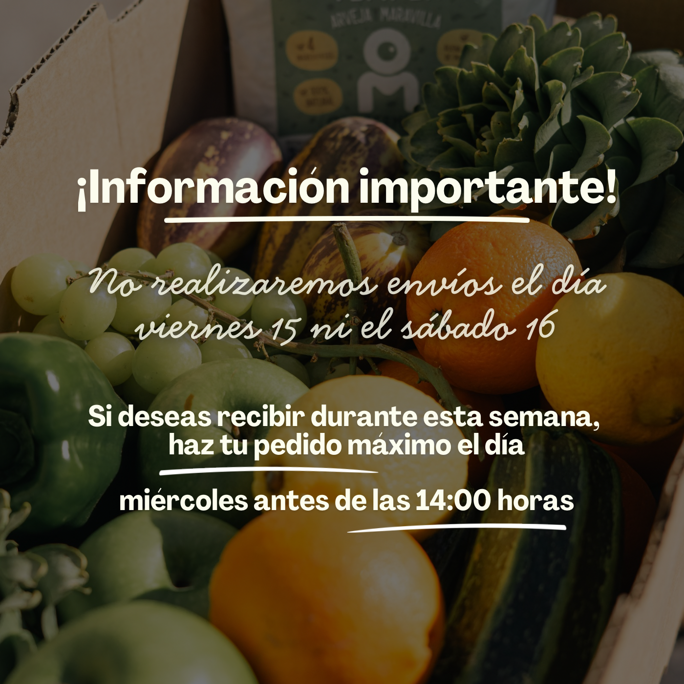 yerba mate, tempeh, tempeh de arvejas, not snack bars,  barritas proteicas not, hummus Buka, hummus de betarraga
