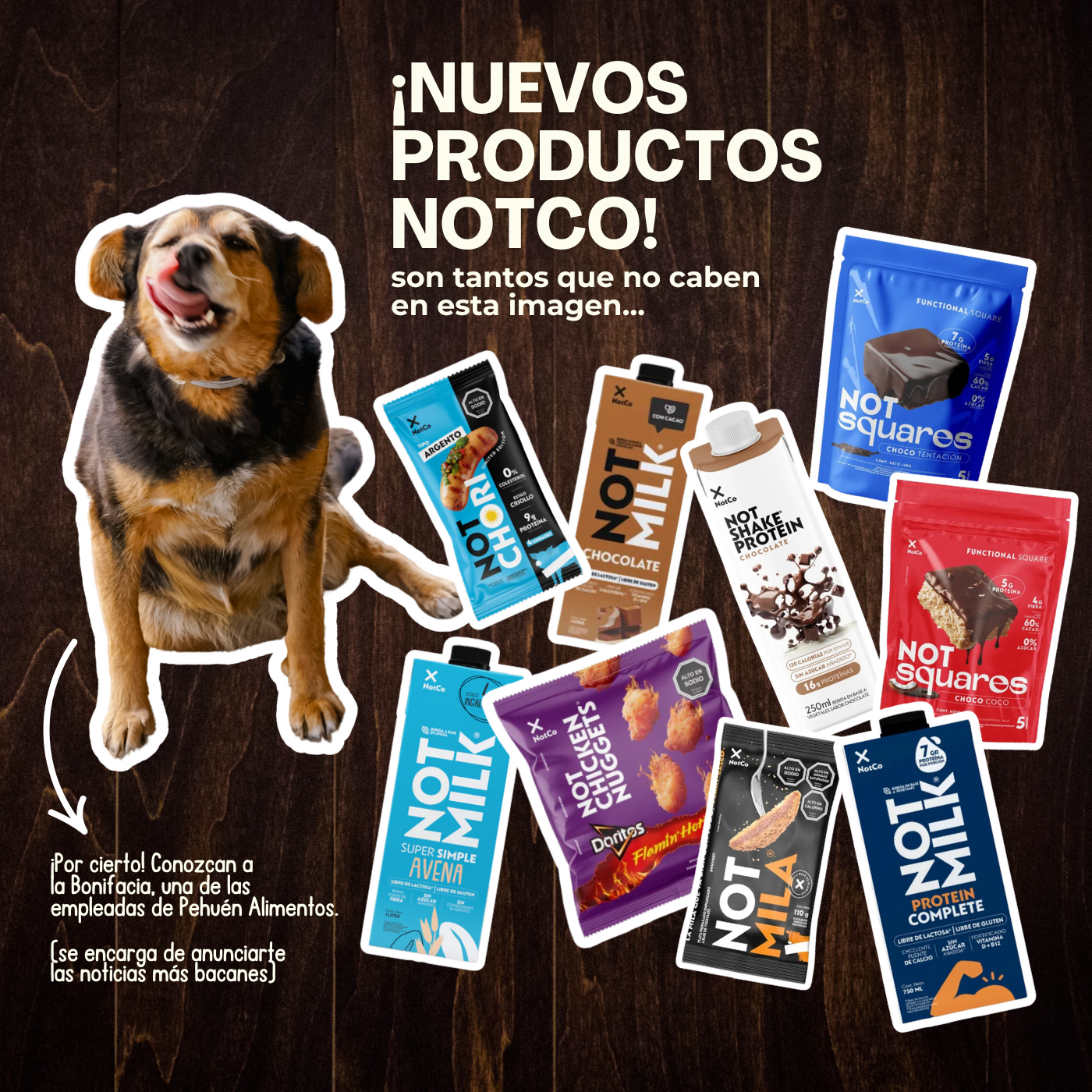 Notco