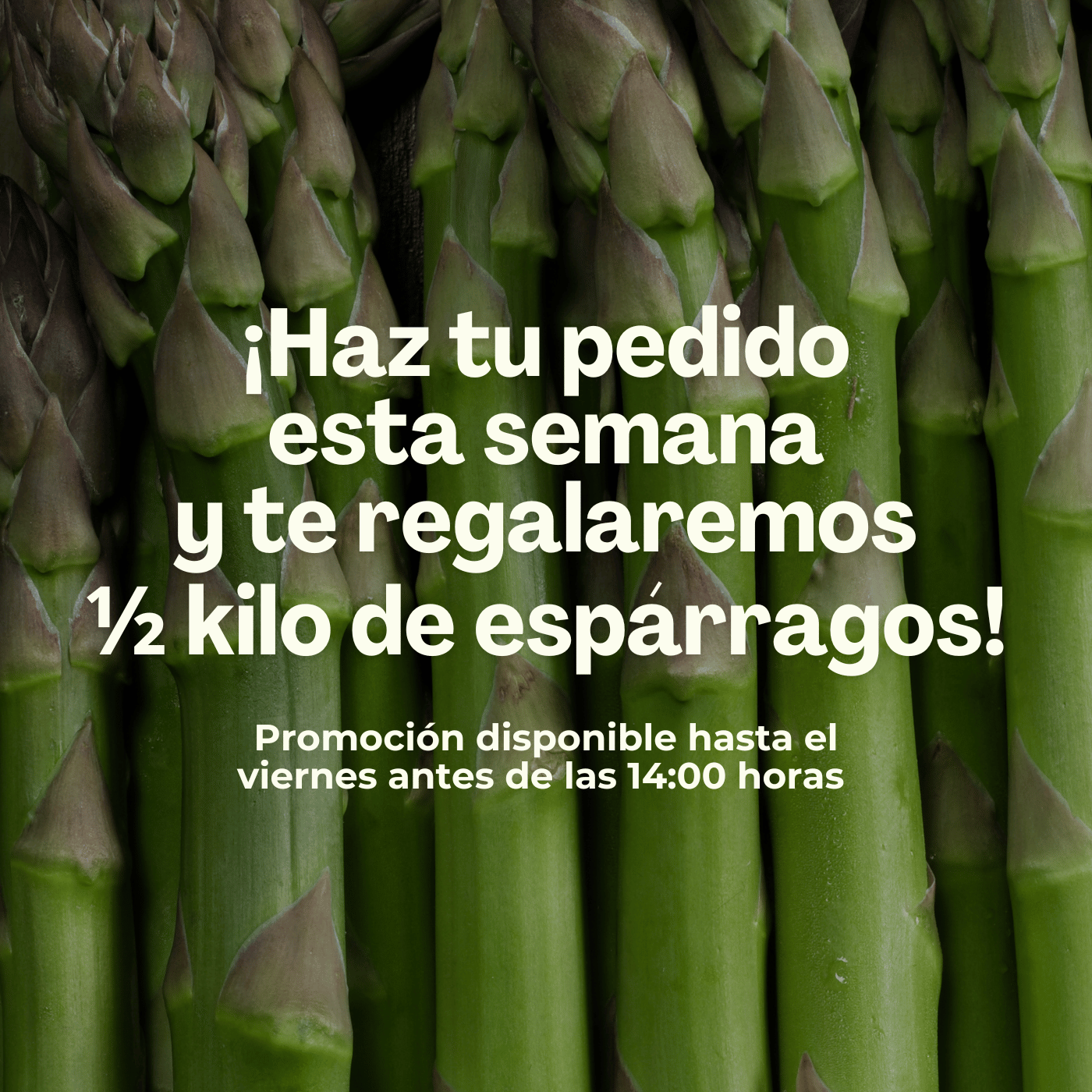 frutas y verduras en temporada de invierno