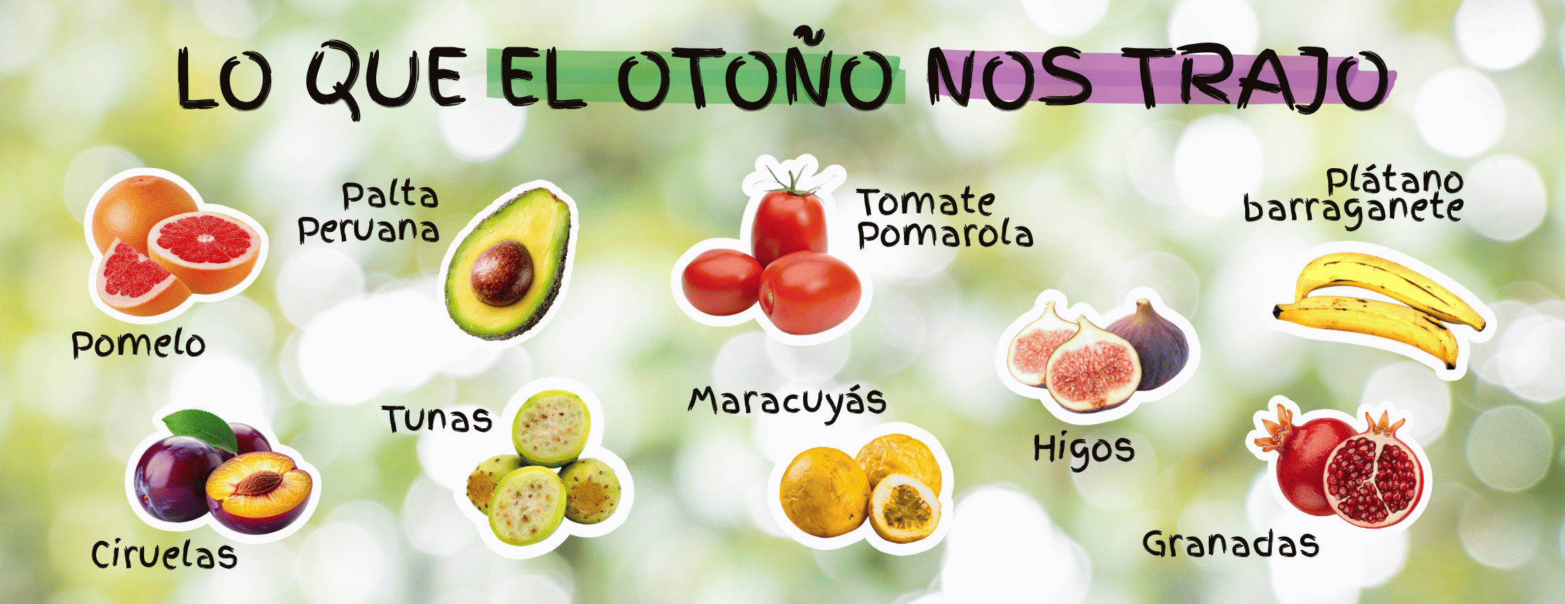 Frutas y verduras de otoño