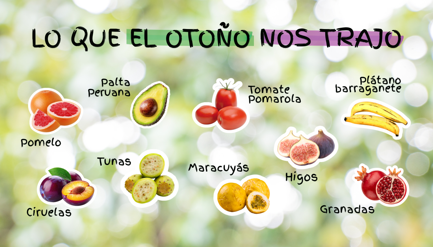 Frutas y verduras de otoño