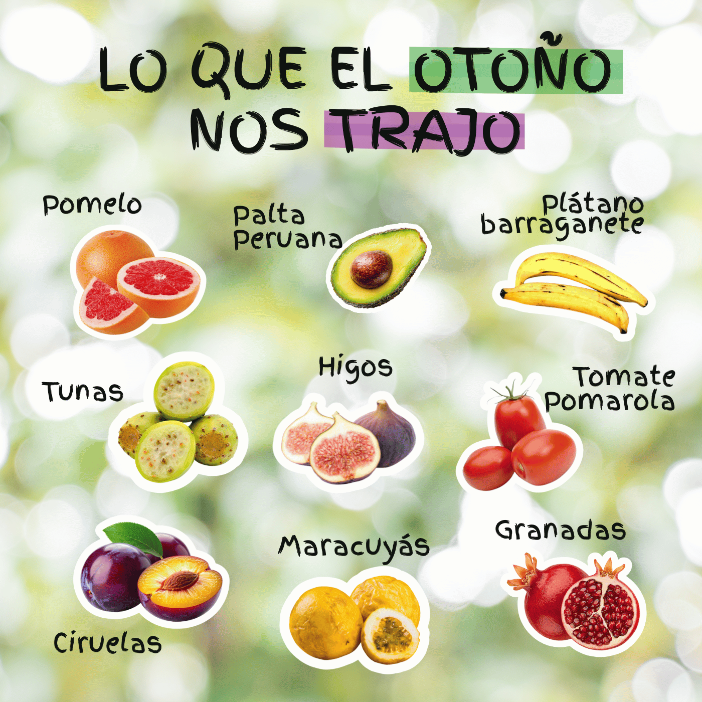 Frutas y verduras de otoño