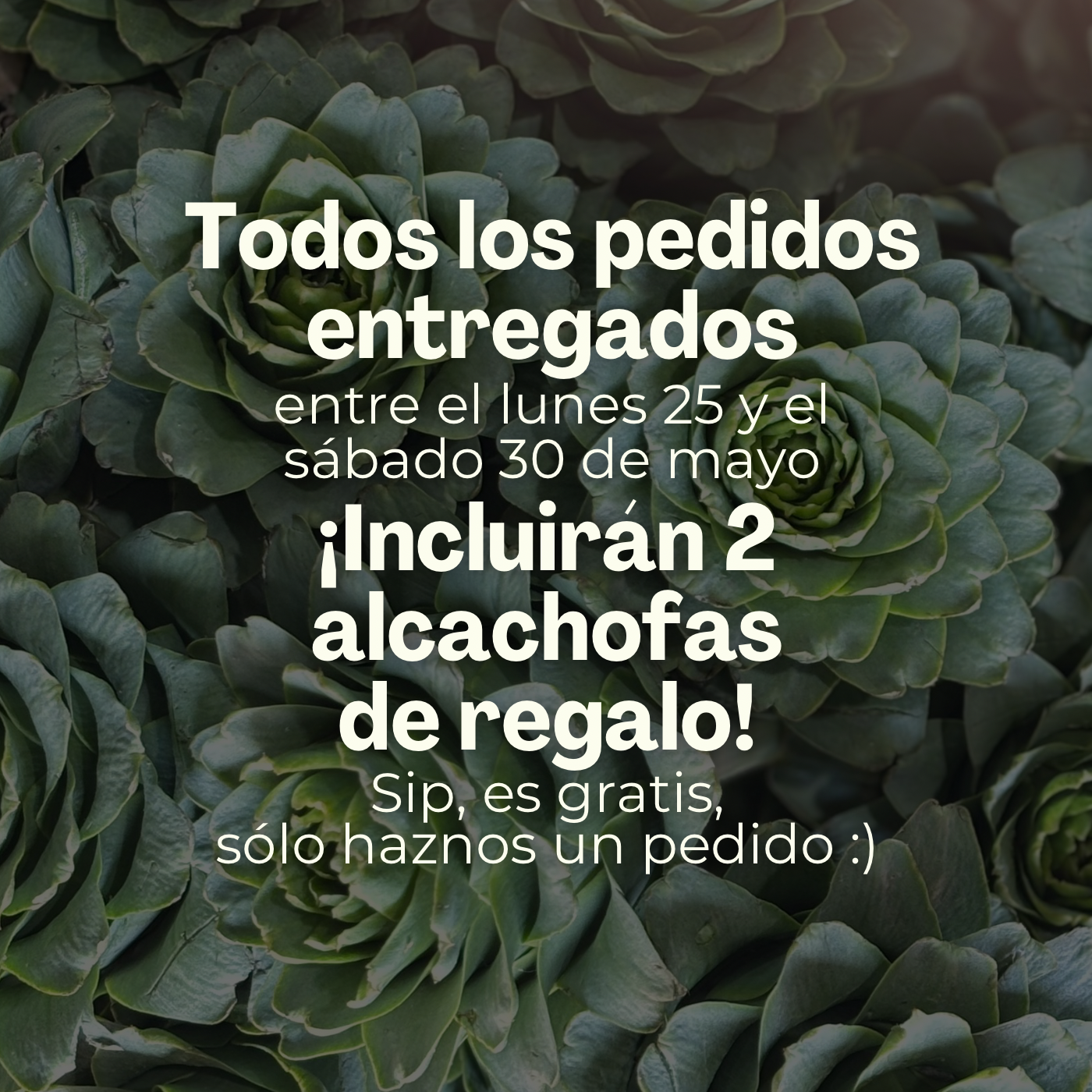 Frutas y verduras de otoño