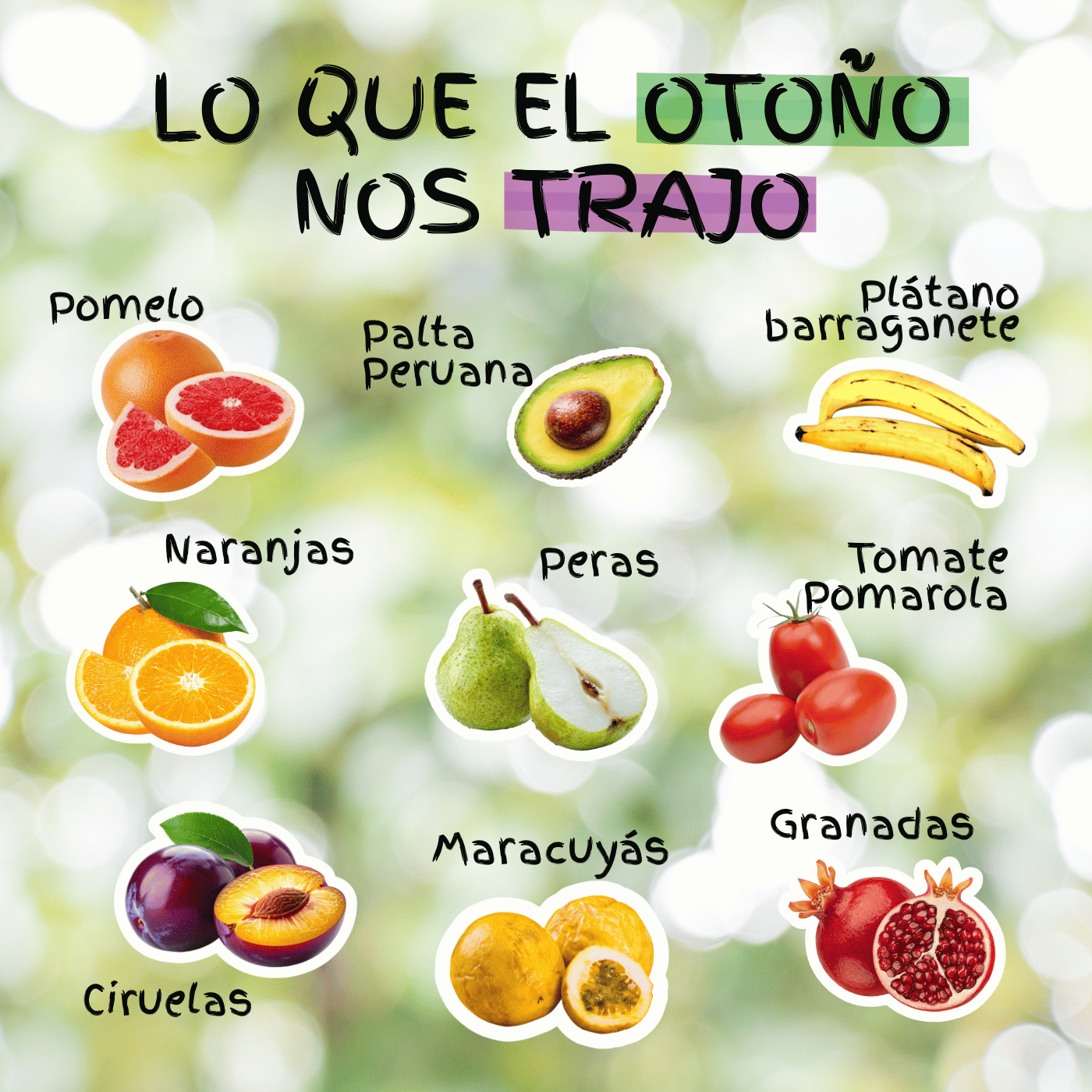 Frutas y verduras de otoño