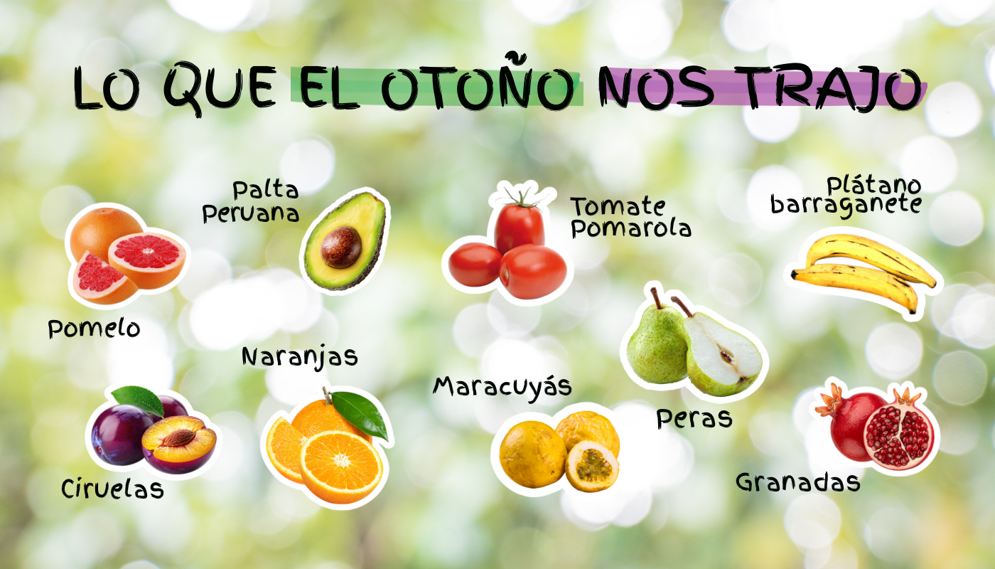 Frutas y verduras de otoño