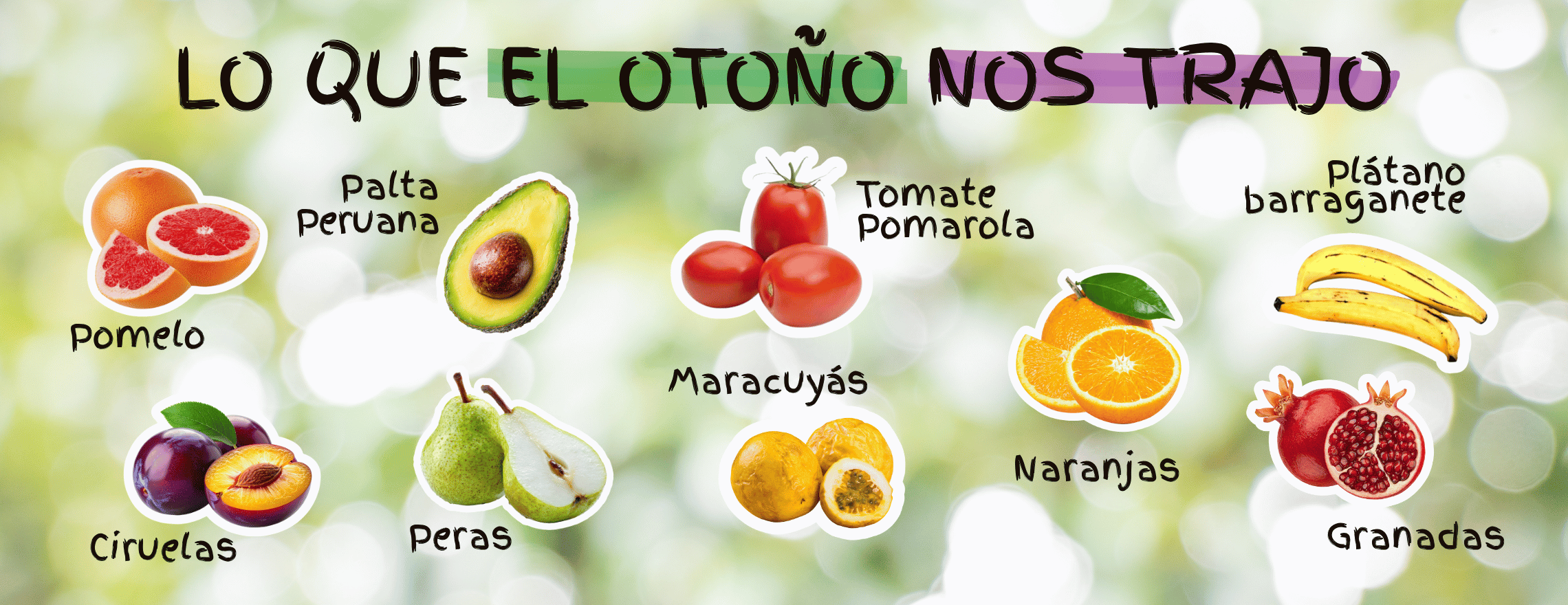 Frutas y verduras de otoño